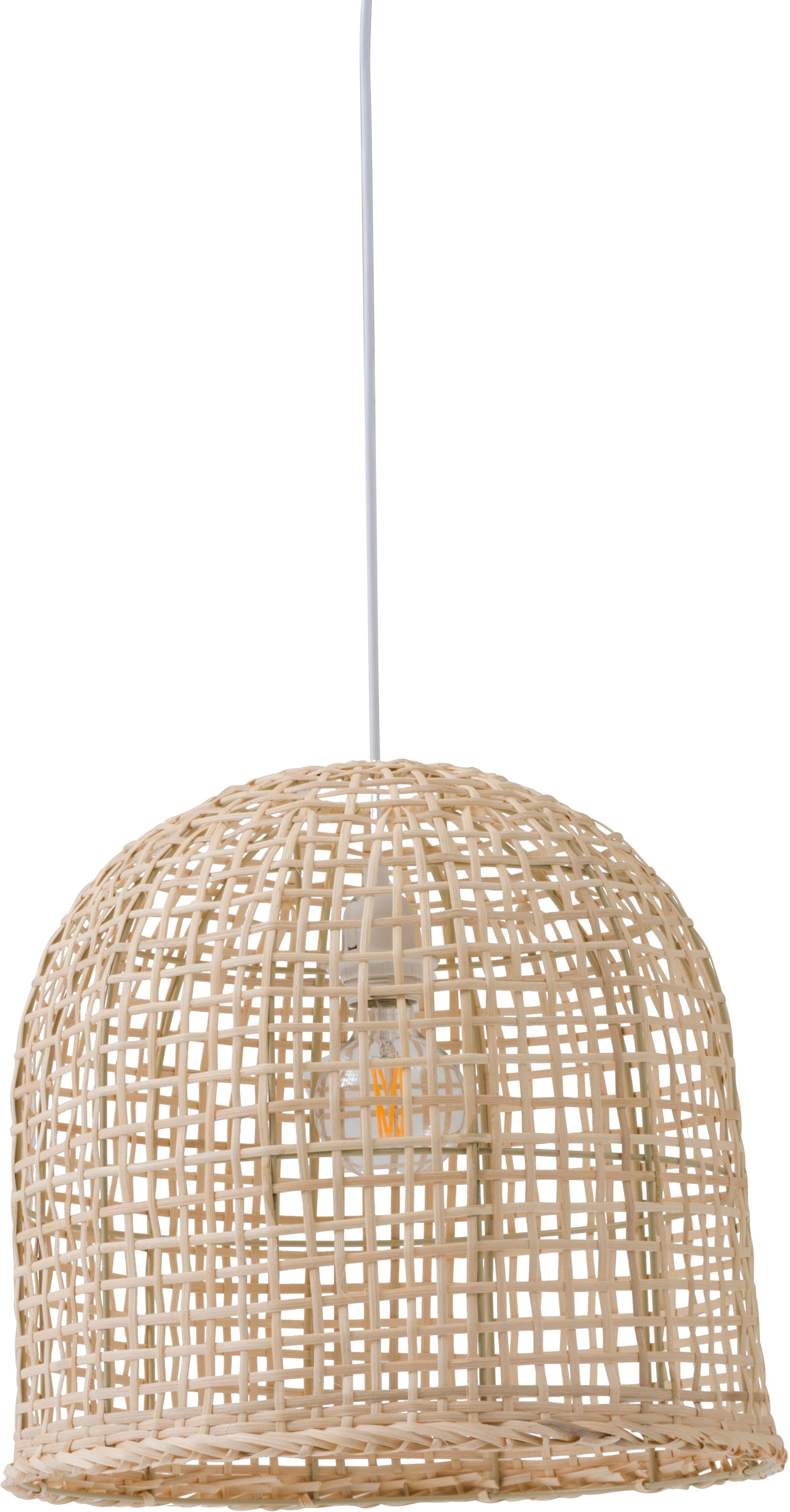 Sadie, kattovalaisin