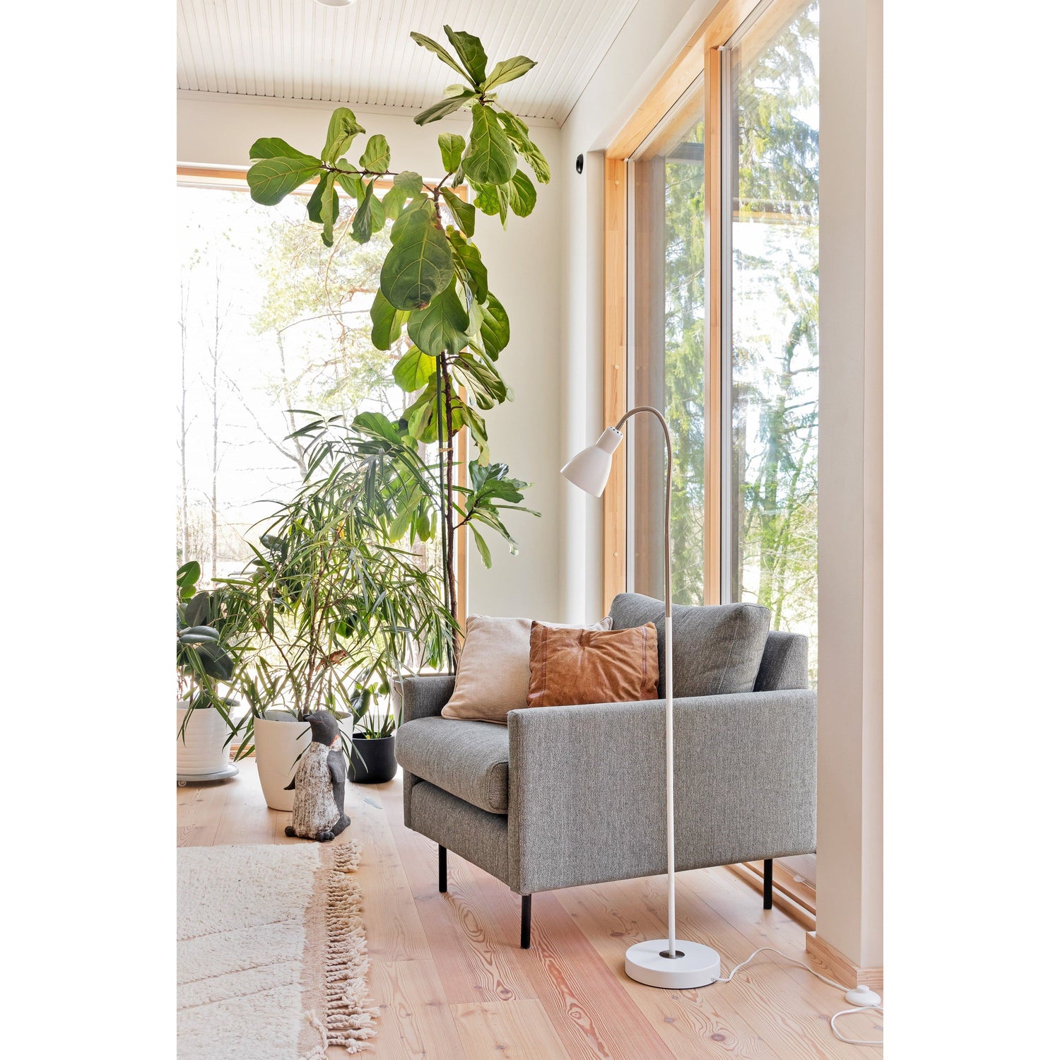 Kian, lattiavalaisin