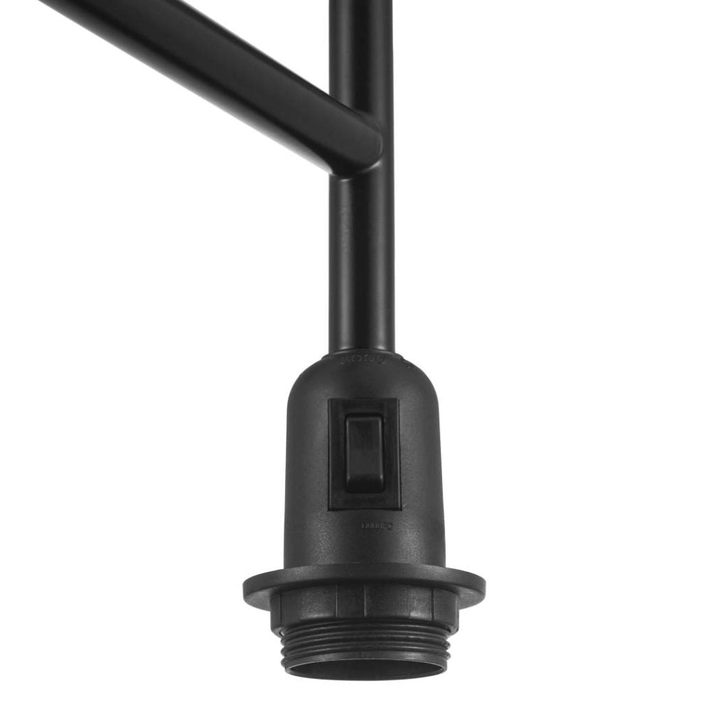 Dicte, lattiavalaisin